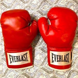 Everlast Boxing Gloves-12oz